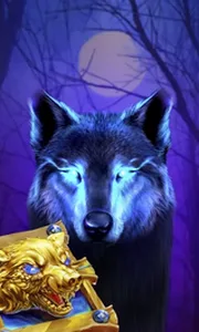 Book Of The Night Wolf